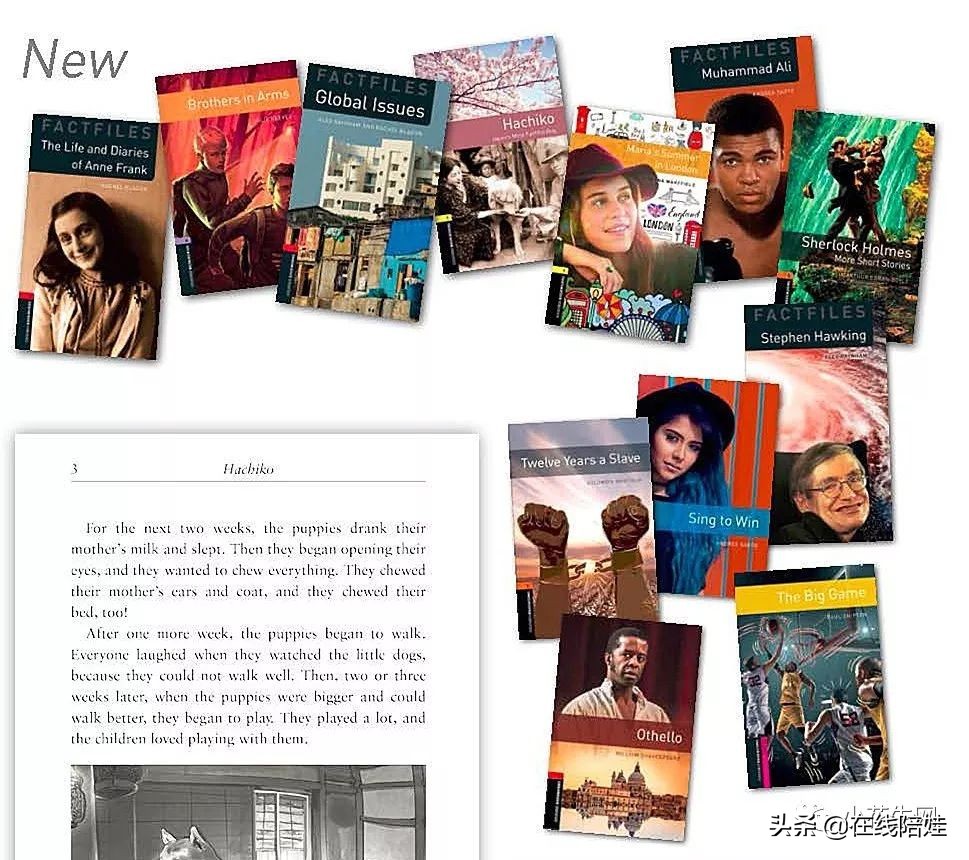 书虫牛津英汉双语读物入门级点读,书虫系列牛津英汉读物介绍