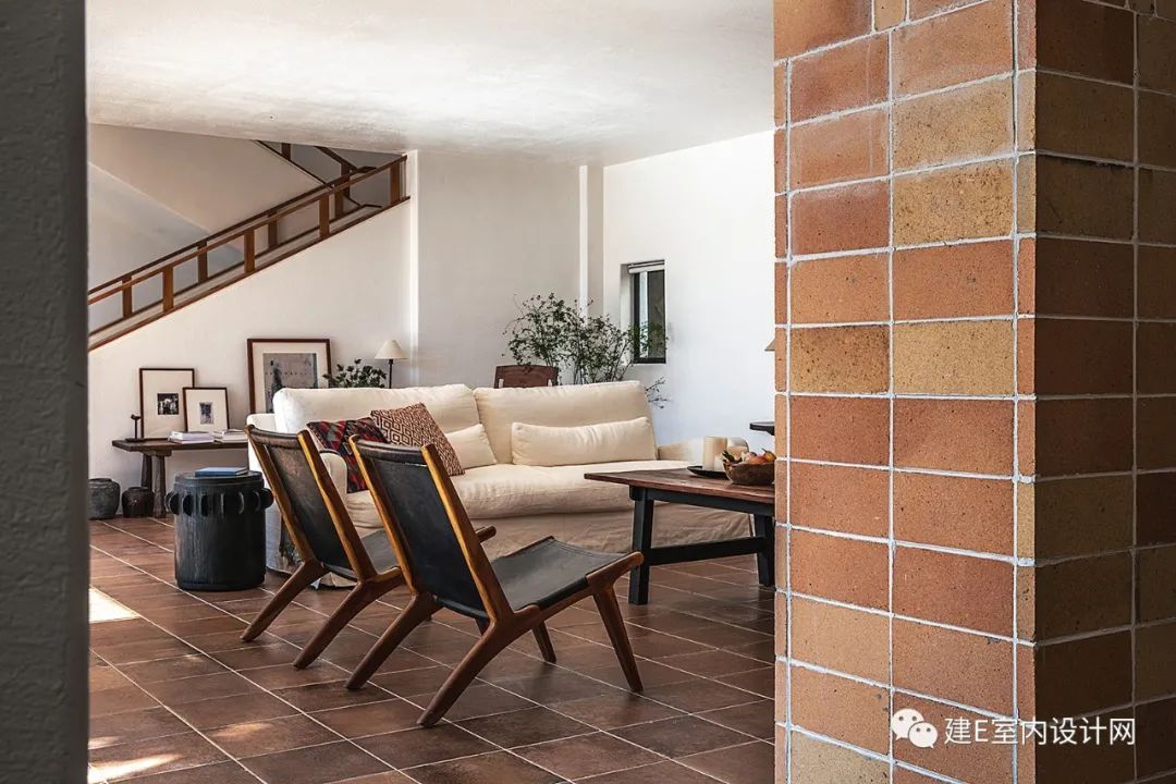 乘风破浪谢柯,谢柯个人简历