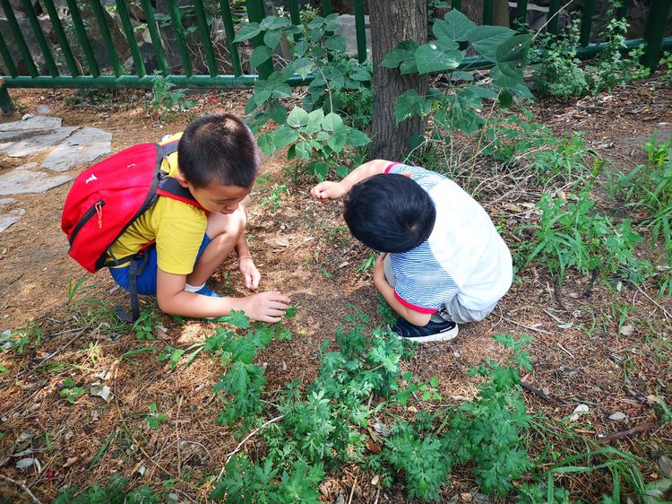 漫步北大校园,北大印象图片