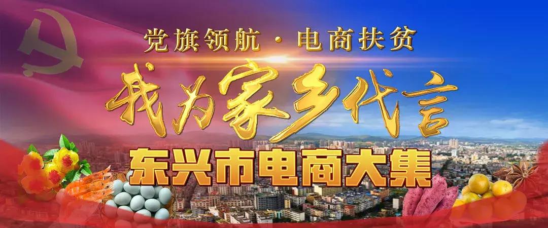 党旗领航电商扶贫活动,助力乡村振兴我为农产品代言