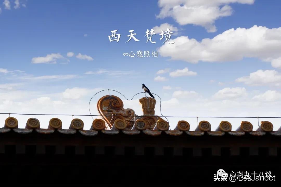 北海公园金丝楠木殿,北海公园西天梵境