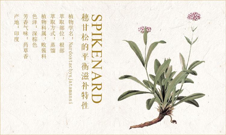 芳香精油中的异类：臭不可闻的5种植物精油