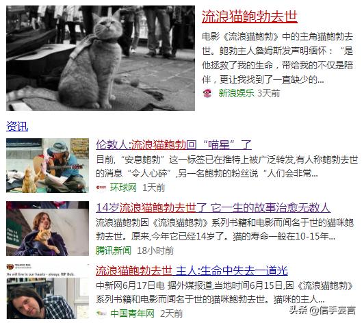 周末推荐电影2021,周末电影推荐冒险