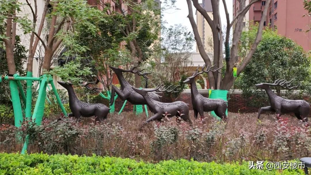 南湖艺境一期小区环境图片,南湖艺境一期详细地址