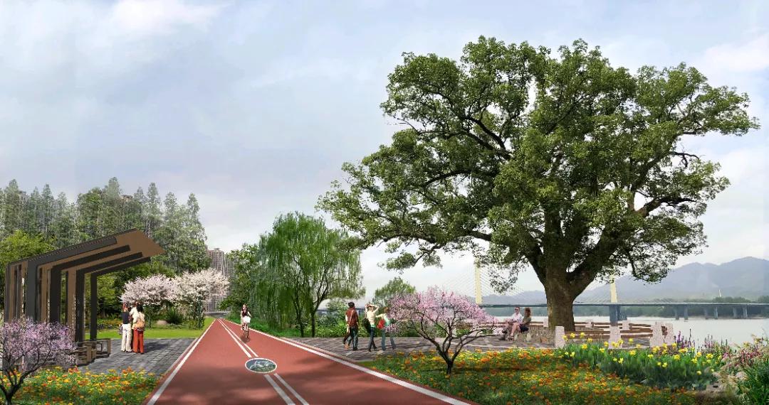 桐庐最新规划有几条高速,桐庐未来交通规划