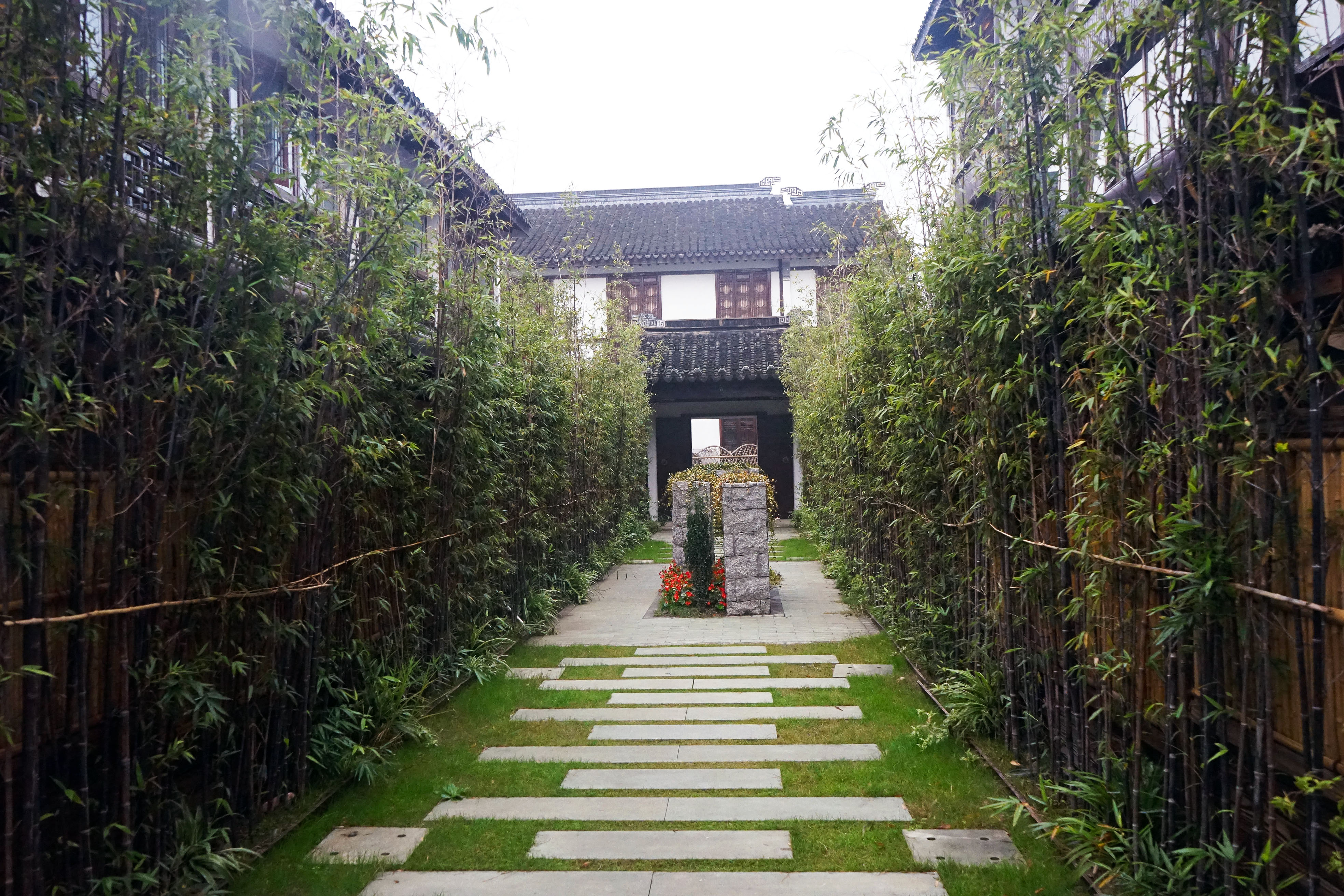 苏州是个温柔的地方,苏州人是个雅致的女人