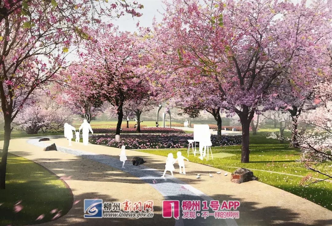 柳州紫荆花园在哪里,柳州紫荆花园最新消息