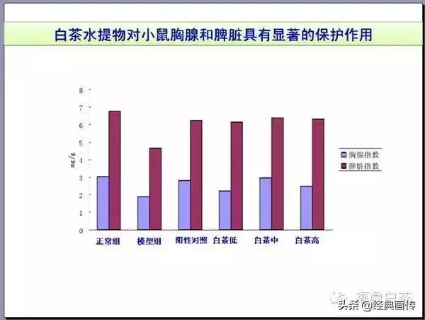 刘仲华白茶功效,刘仲华谈福鼎白茶
