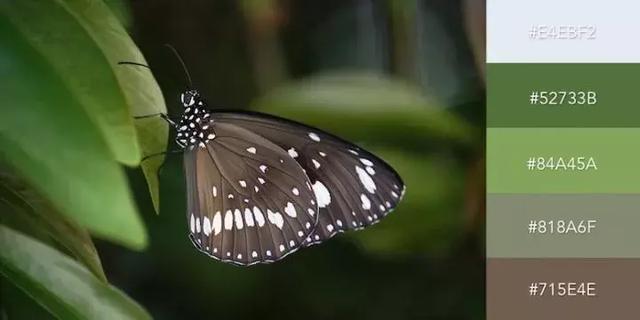 999张照片模板,999999999的创意图片