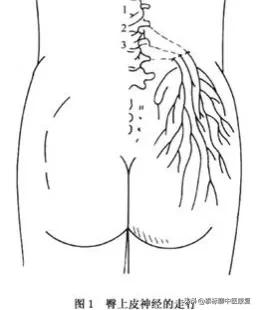 颈椎横突针刀松解术能有效果吗,针刀松解脊柱