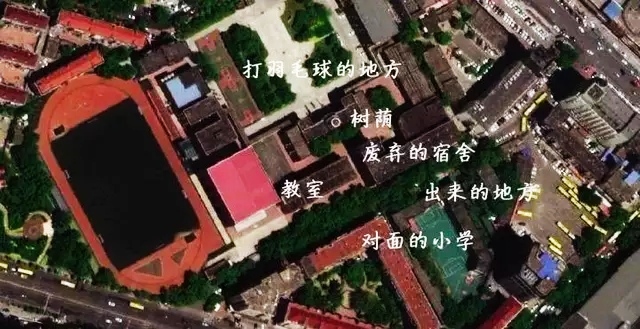 潘博文事件小说,知乎潘博文