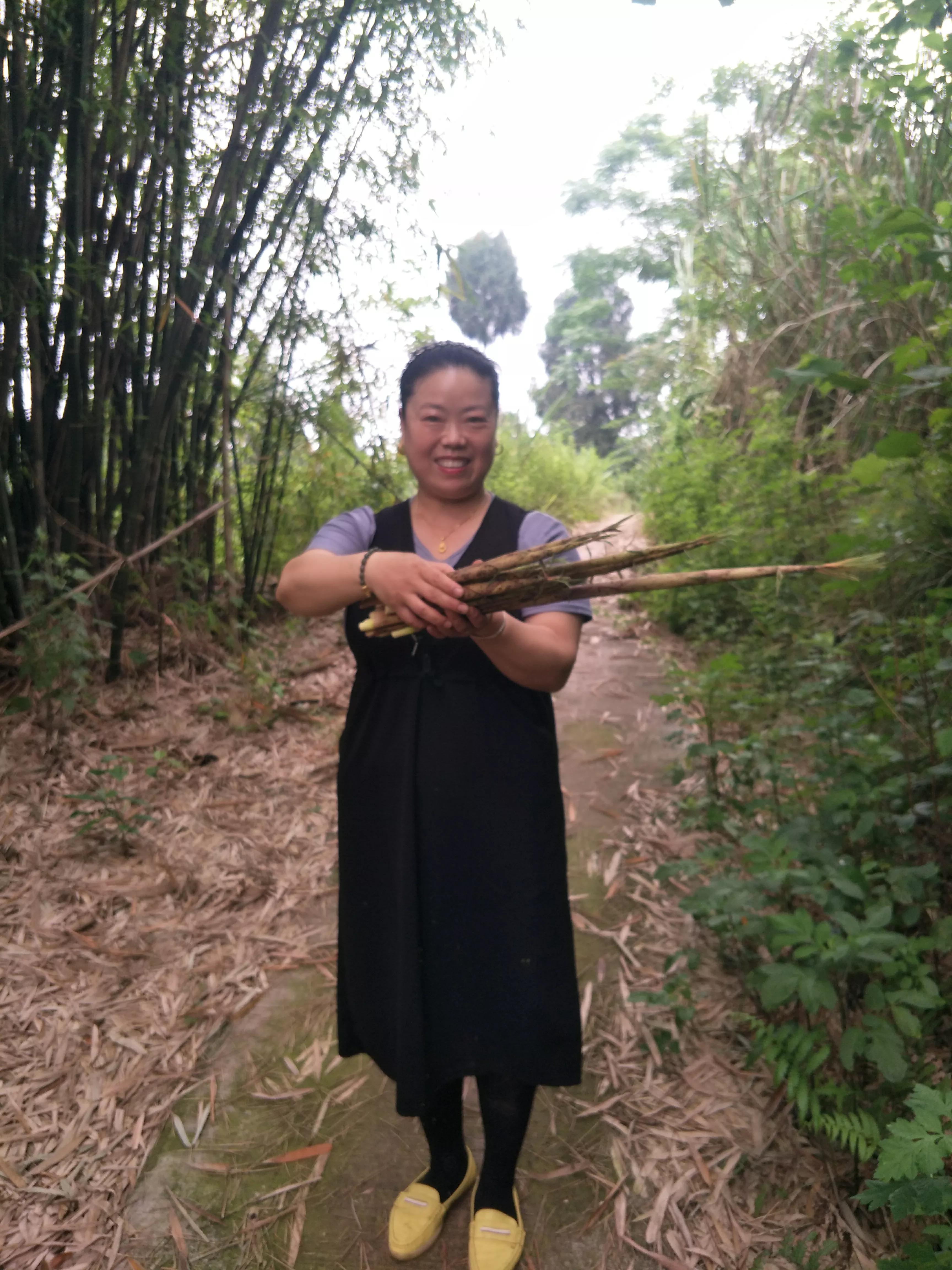 初夏，遇见我喜欢的斑竹笋