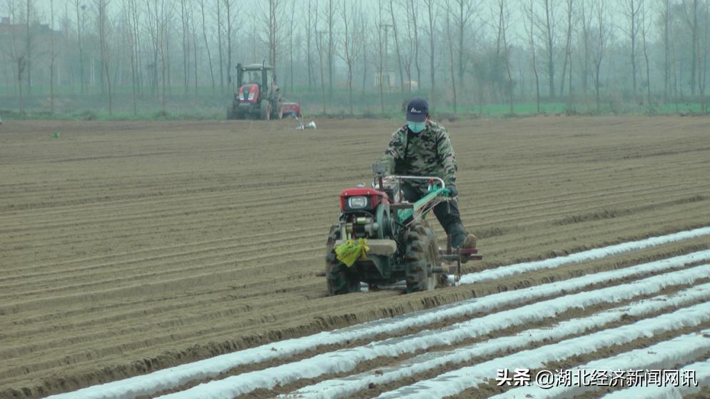 不误农时忙春耕,不误农时不负春全力以赴备春耕