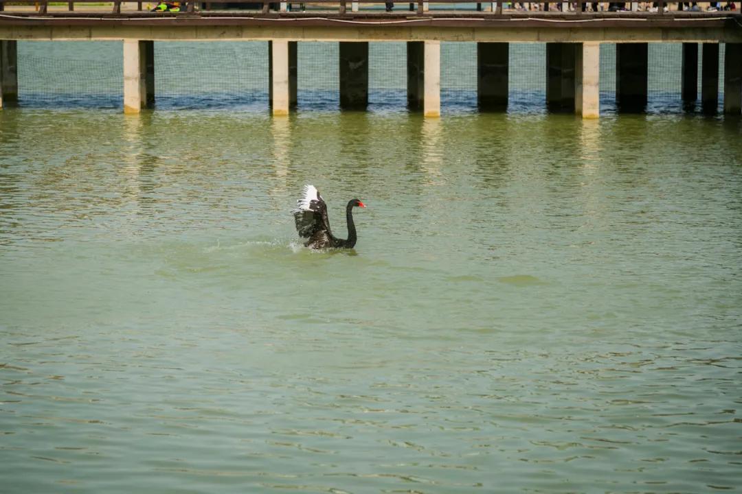 郑州亲子游户外公园十大排行榜,郑州免费适合遛娃玩的公园
