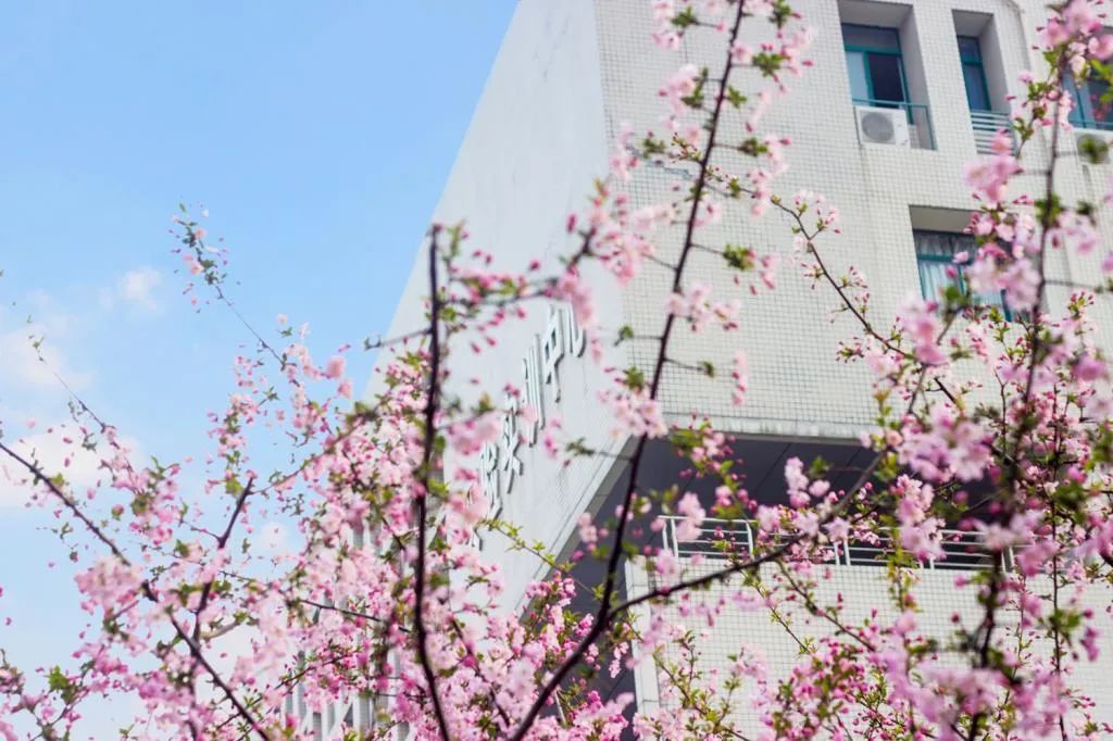 湖北工业大学校园面貌怎么样,湖北工业大学风景
