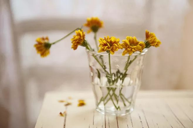 中华经典诵读作品100篇,古文经典诵读版