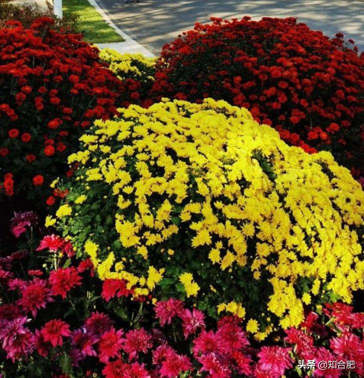 合肥国庆假期去哪玩三日游,国庆安徽三日游