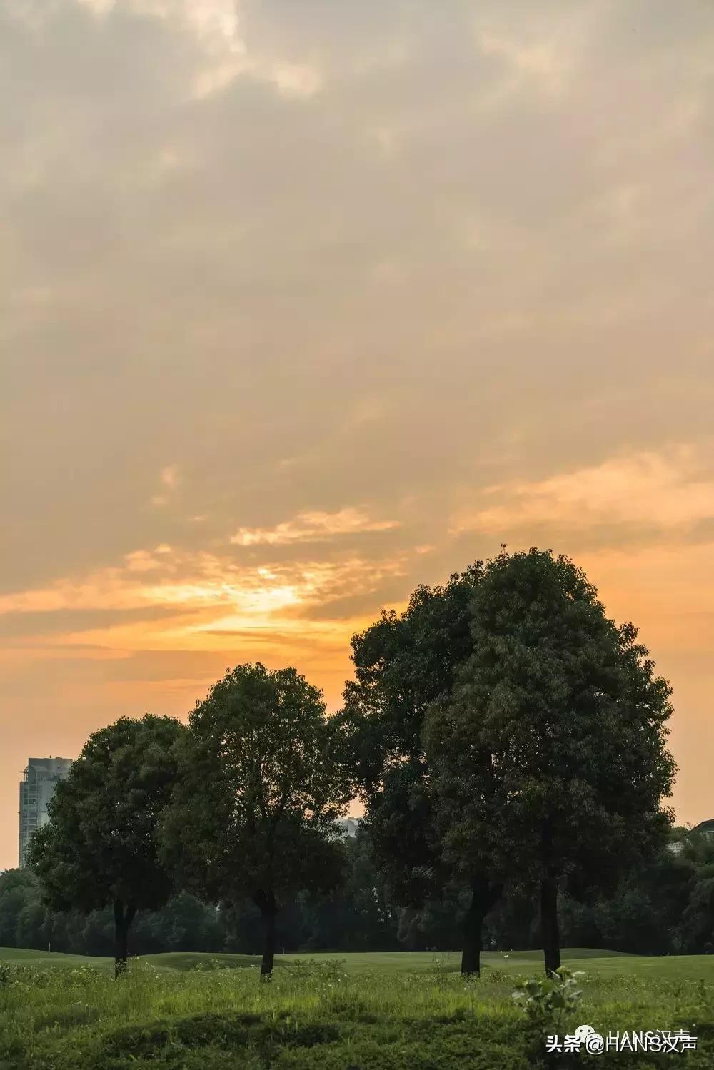 汉口夏天,汉口夏日