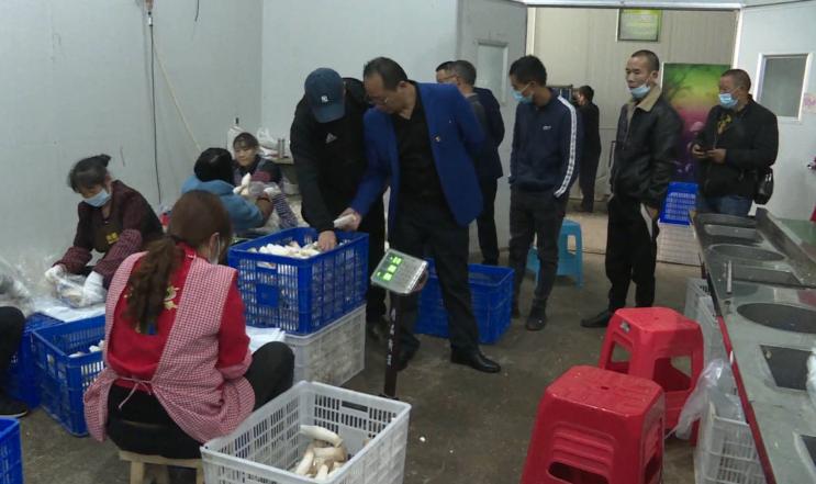 南充嘉陵区龙蟠,四川省南充市高坪区龙蟠镇