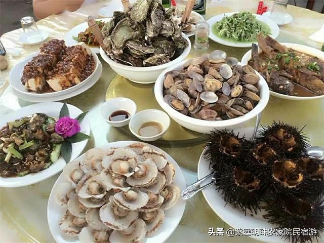 大长山岛长海环岛渔家,大连大长山岛晨曦渔家院