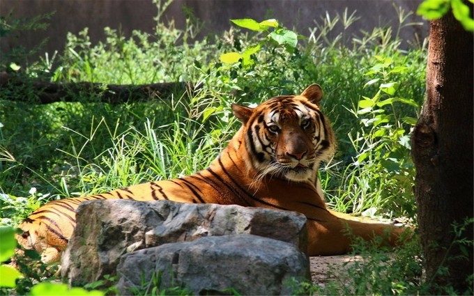 上海地铁旅游攻略免费景区,上海地铁游玩攻略免费