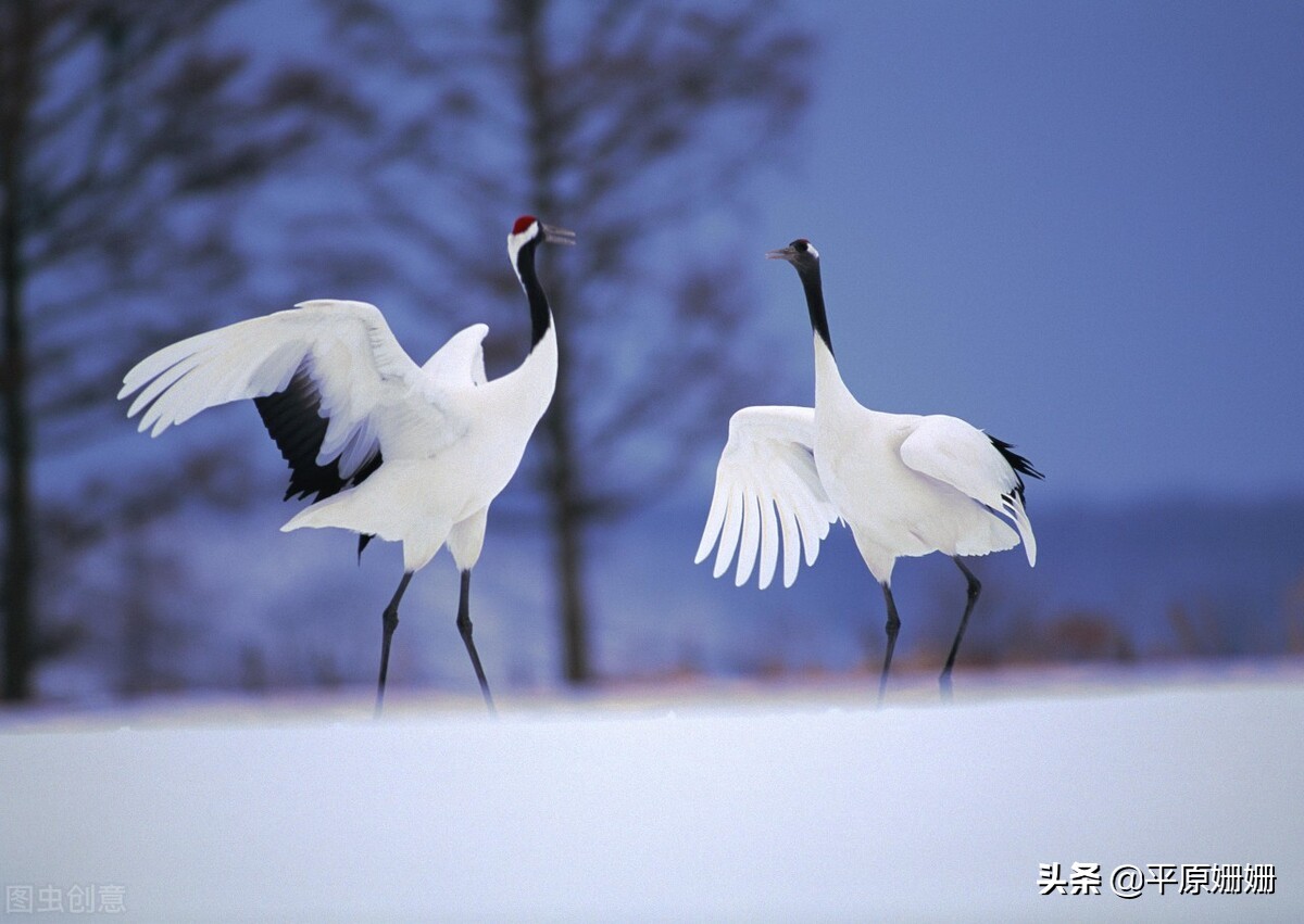 鐪熷亣鏃犱粠鏌ヨ瘉,鐪熷亣闅捐鲸鑷繁鐭ラ亾