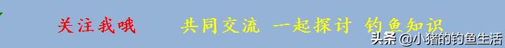 夏天蚯蚓钓鱼用多大的线组,用蚯蚓好钓鱼还是鱼饵好用