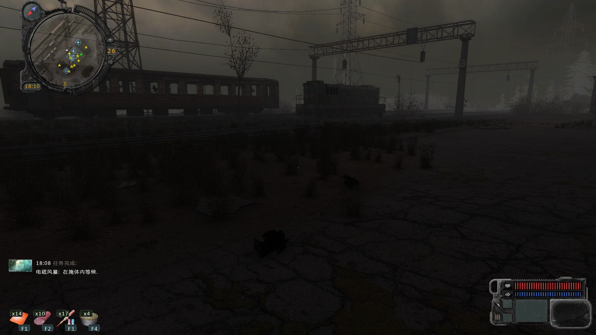 朝花夕拾雪地捕鸟视频,朝花夕拾雷利亚