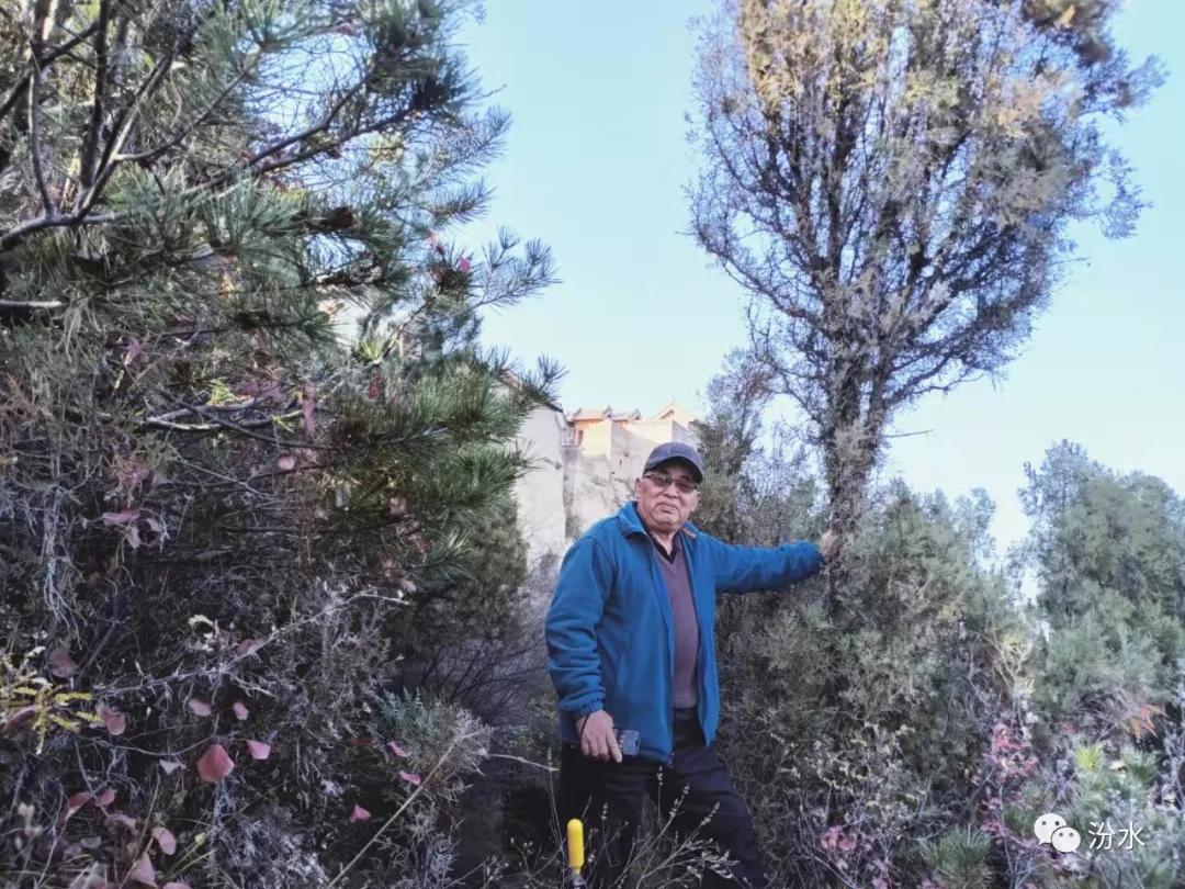 布达拉宫龙王潭,青龙山小布达拉宫门票