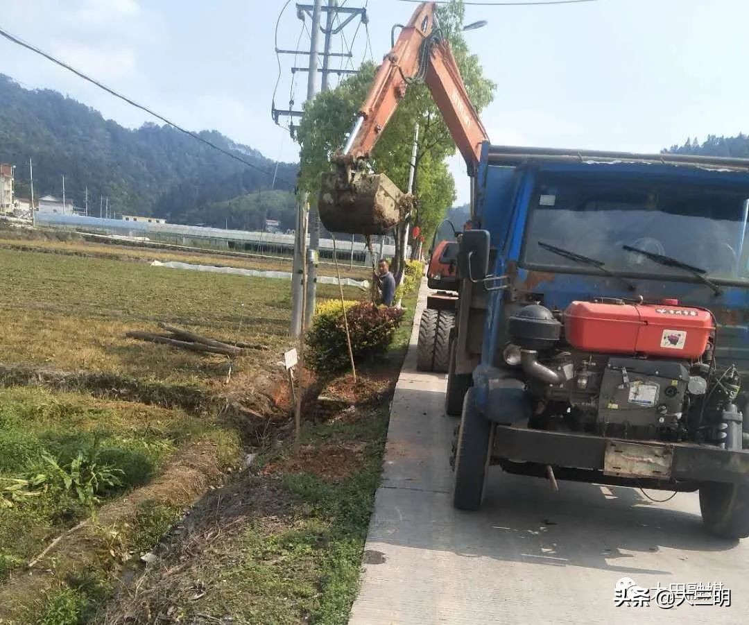 【满意在三明】清沟扫地摆整齐，大田掀起人居整治热潮