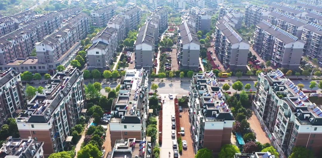 幸福村庄的密码,幸福林带中的幸福密码