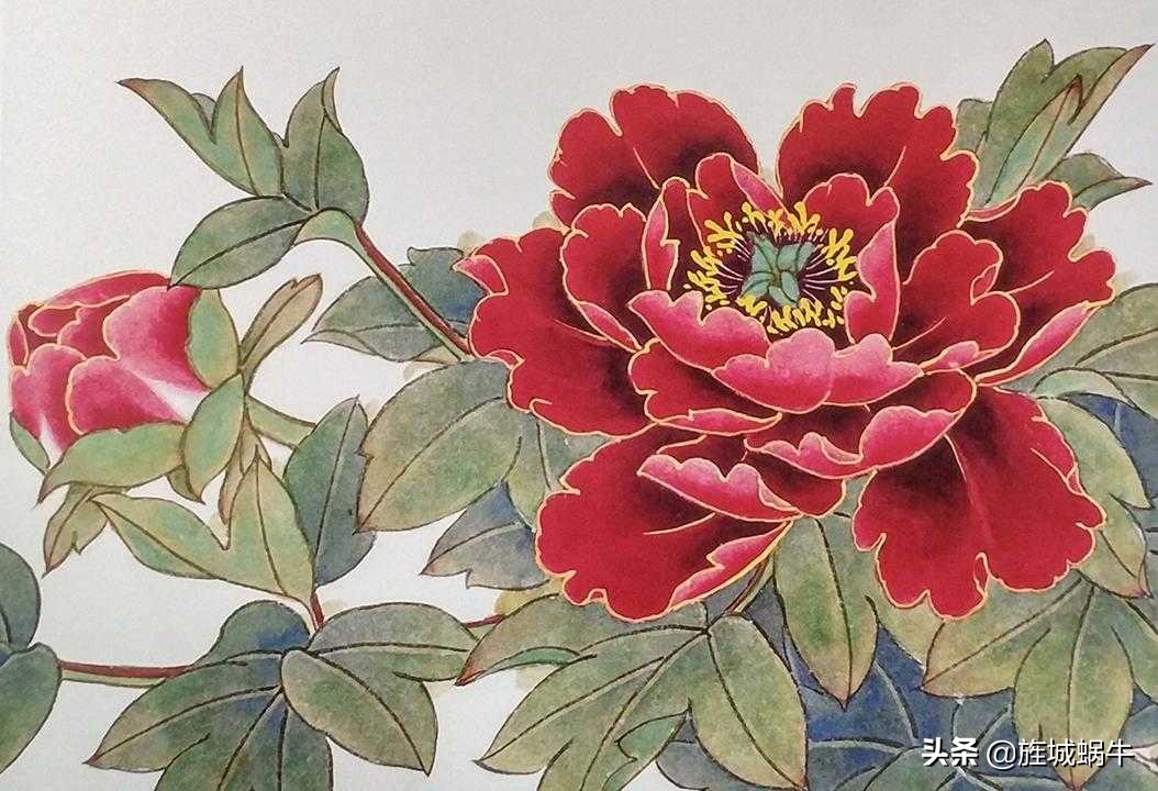 青龙卧墨池牡丹怎么养,青龙卧墨池牡丹形状