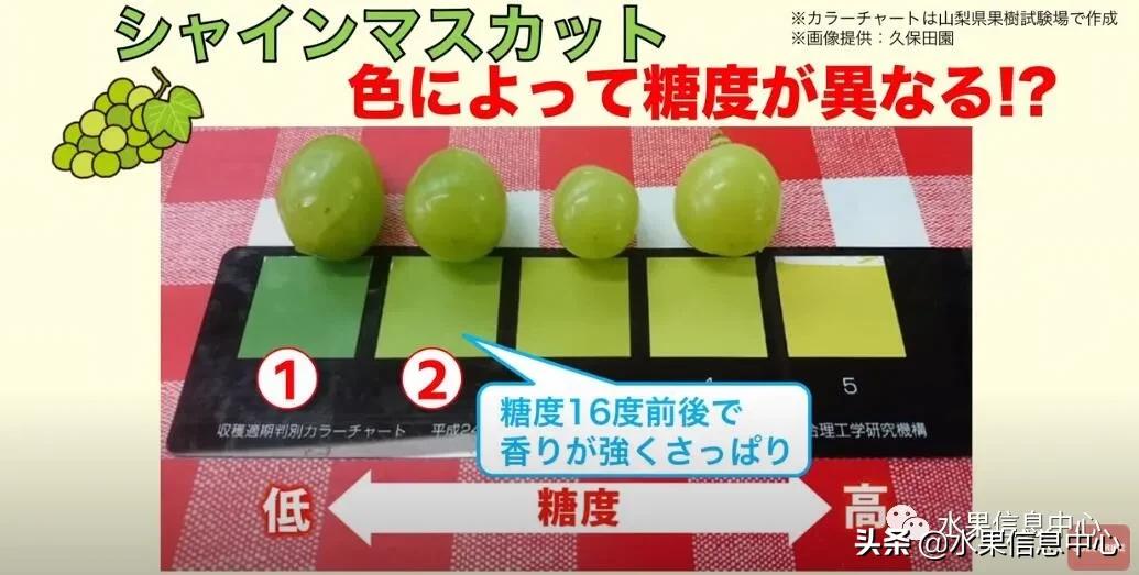 日本水果店怎么挑选,正宗日本水果店