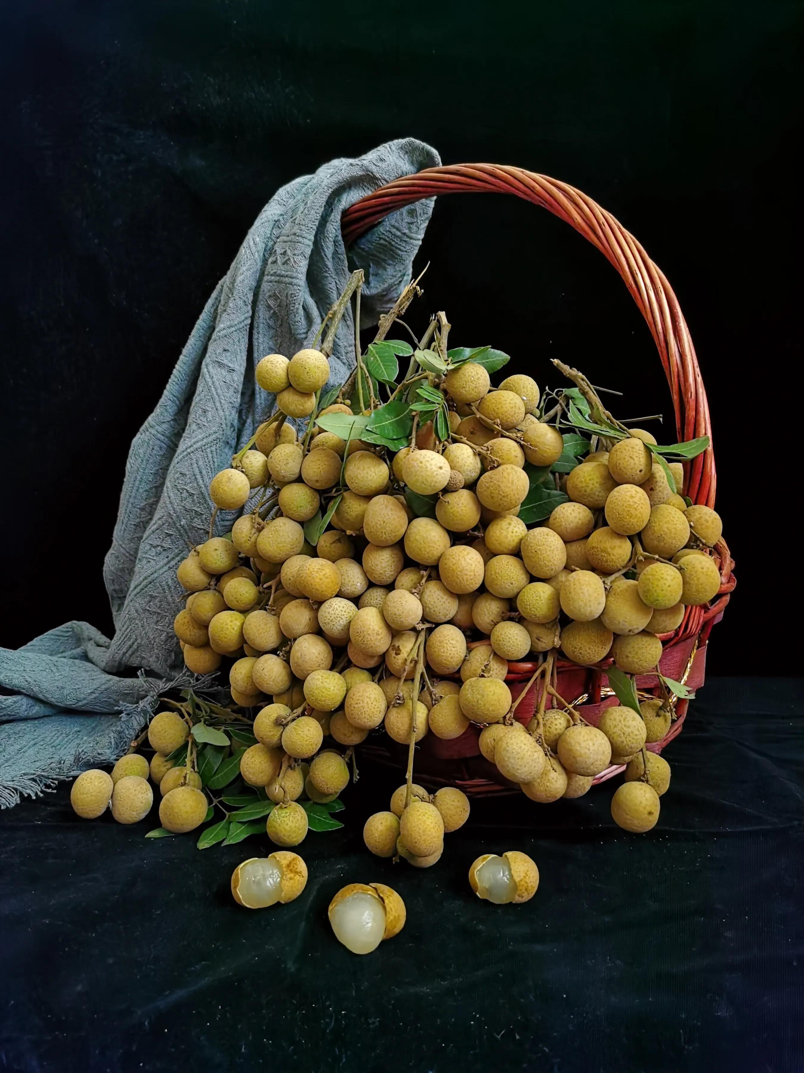 手拍世界手机摄影平台,手机摄影作品集大全集