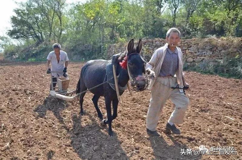 记忆中的拖拉机,农耕工具木耧简介