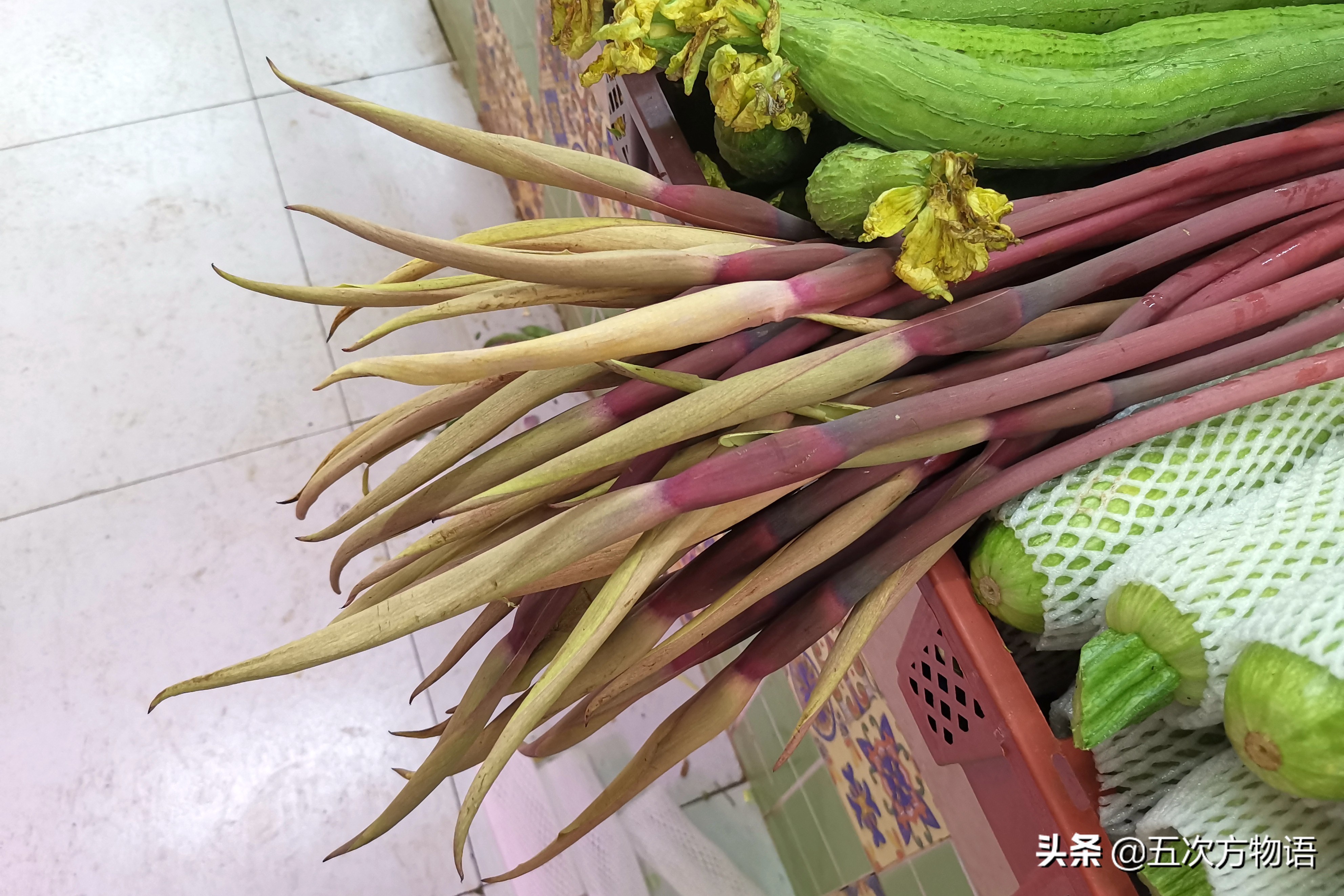 天南星不适合什么人吃,天南星跟南星一样吗有毒吗