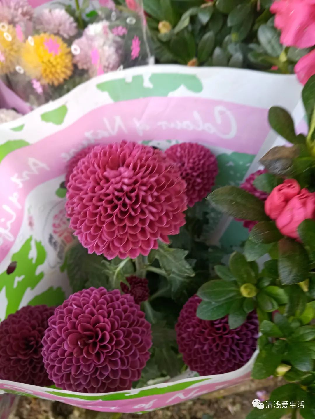 年味十足的花店,花店年味十足