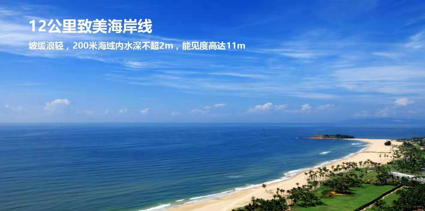 清水湾买房的优点,遇见清水湾完整视频