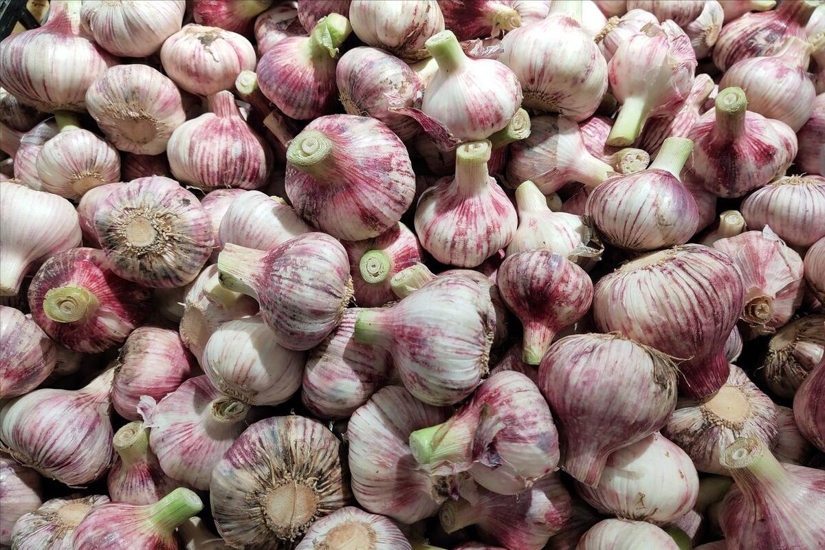 雪碧糖醋蒜怎么腌放的时间长,拿雪碧来腌制糖蒜怎么腌