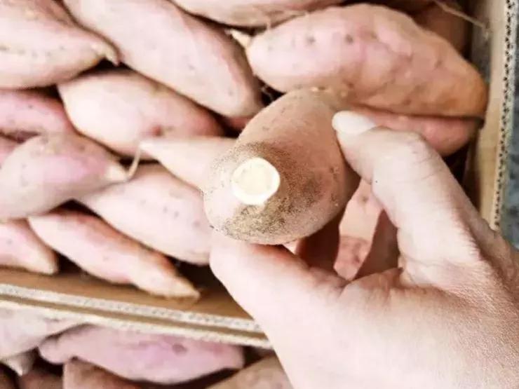 家有余粮心不慌正能量,家有余粮心不慌抖音