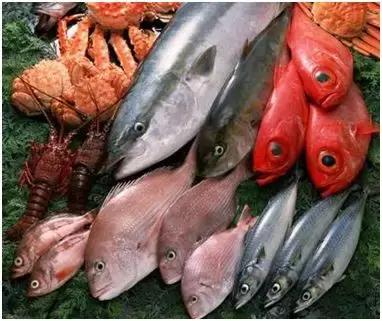 所谓的发物有哪些,科普发物到底是个什么食物