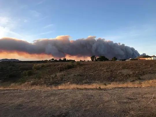 不用农药,让超1000种动植物生态平衡,这次美国人真的做到了