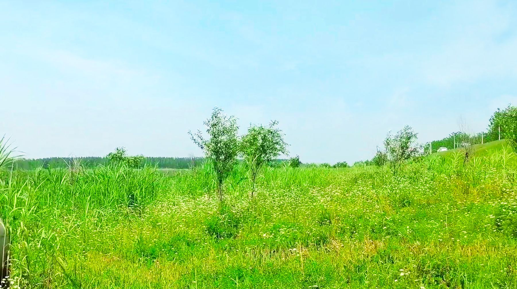 绿水蓝天青草地,打卡湖北武汉郊区黄丝河,宛若油画里的场景