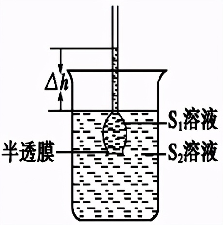 高中生物实验及其作用总结,高中生物实验要点归纳图