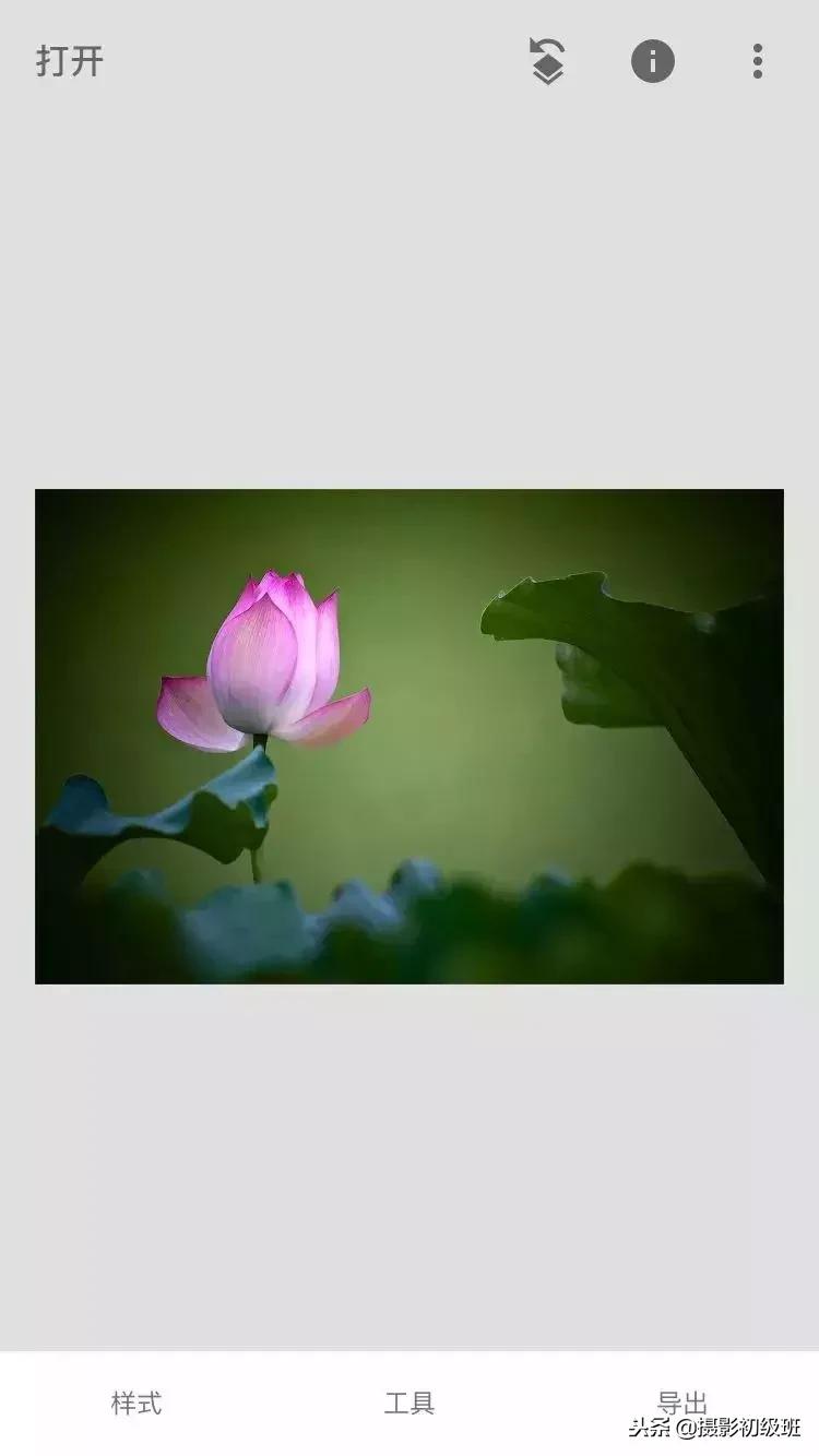 摄影基础知识：如何拍出纯黑色背景照