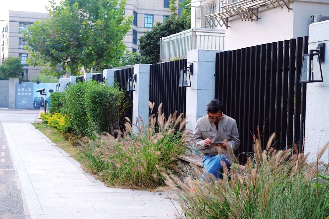 变美、变慢、变温柔,彭浦镇25条街集体宜人化是怎么做到的
