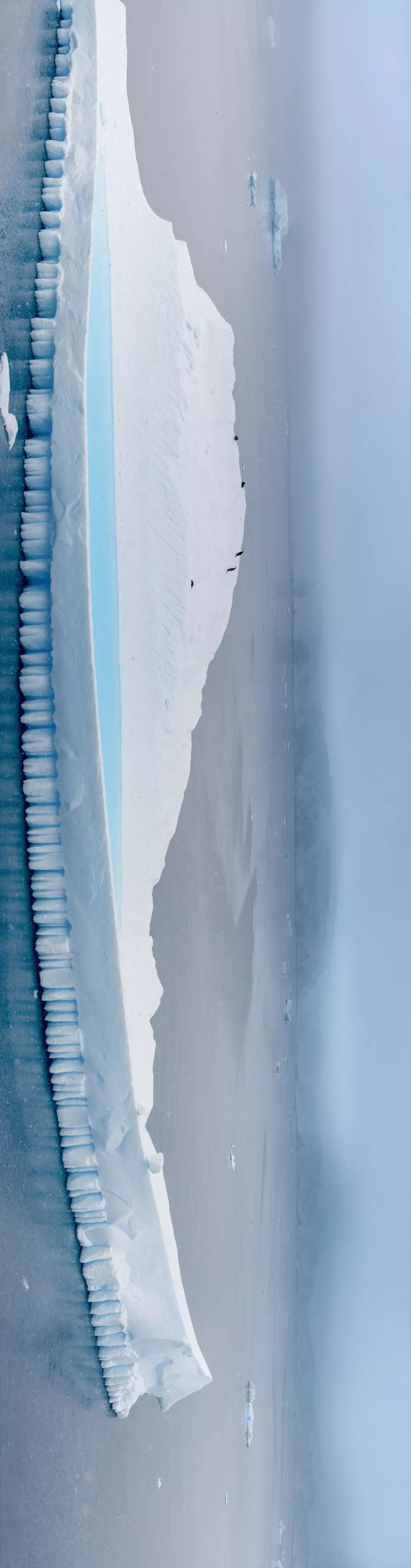 南极从哪里来的最多,南极从哪里开始到哪里结束