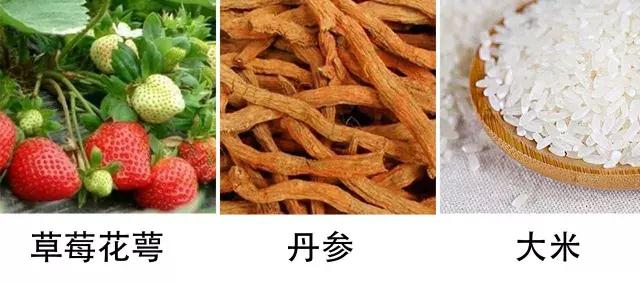 眼霜世界排行榜第一名,眼霜第一名抗皱眼油