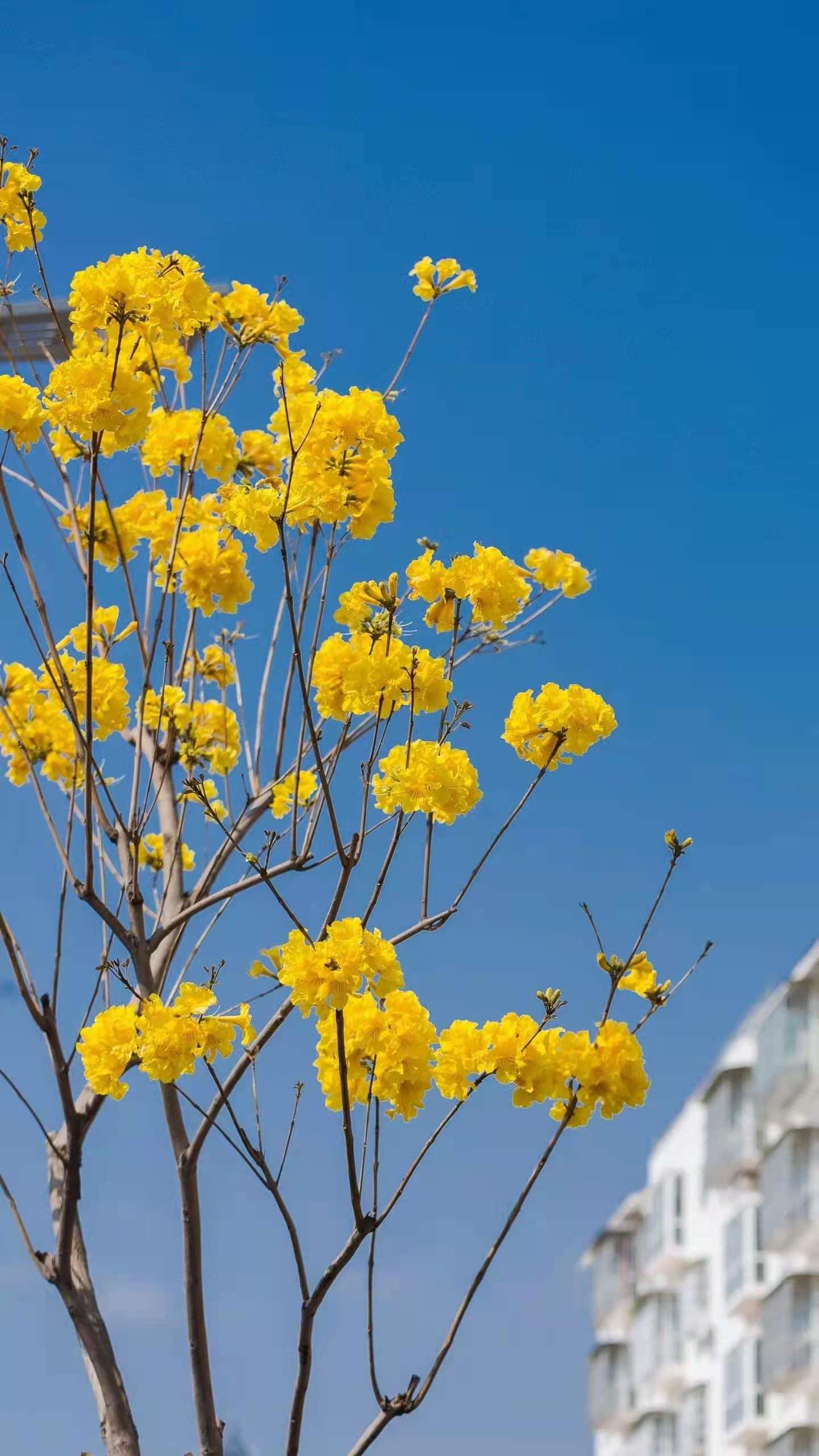 怯场后语无伦次,演讲的技巧和方法不怯场