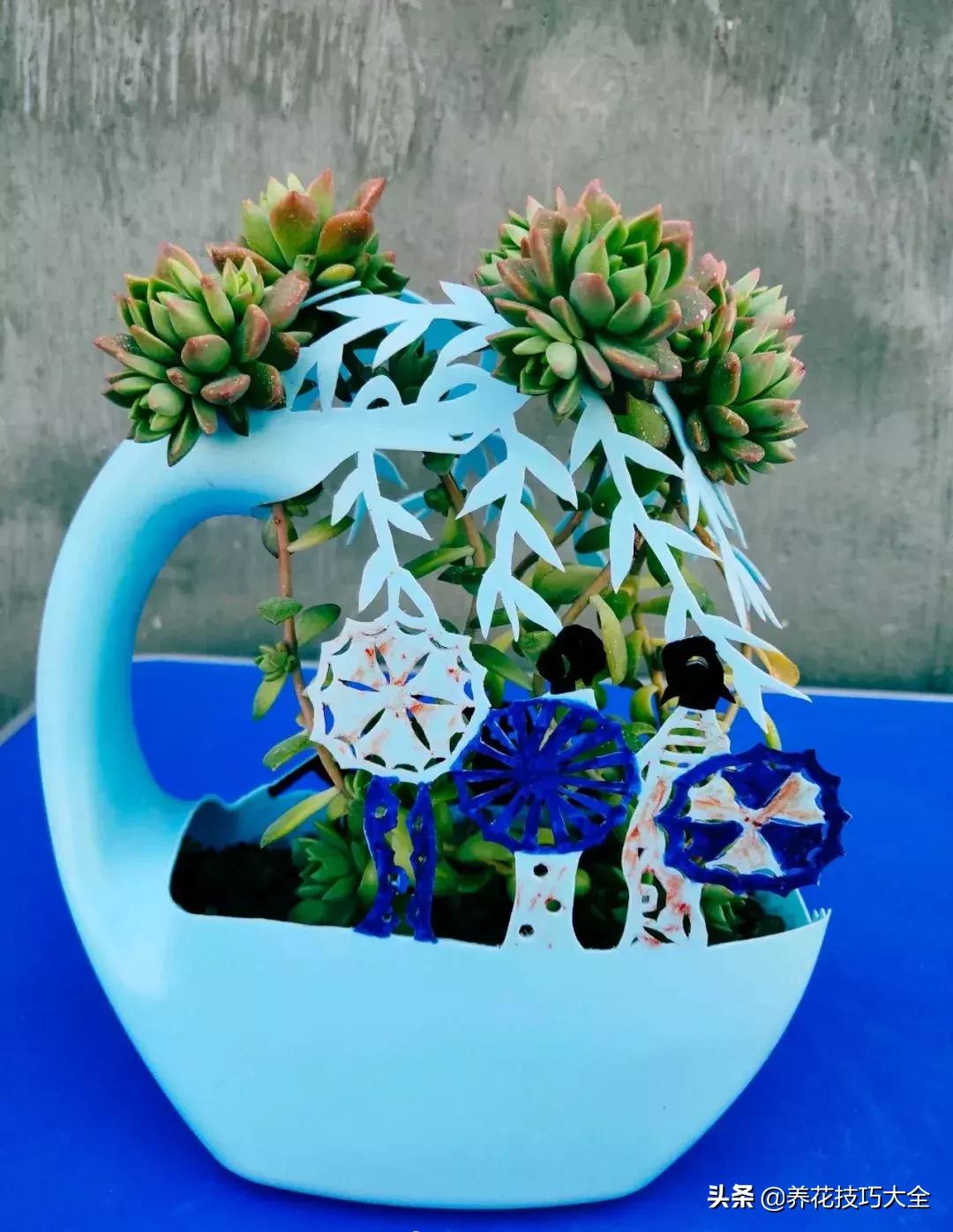 花盆5元一个,花盆不用花钱买